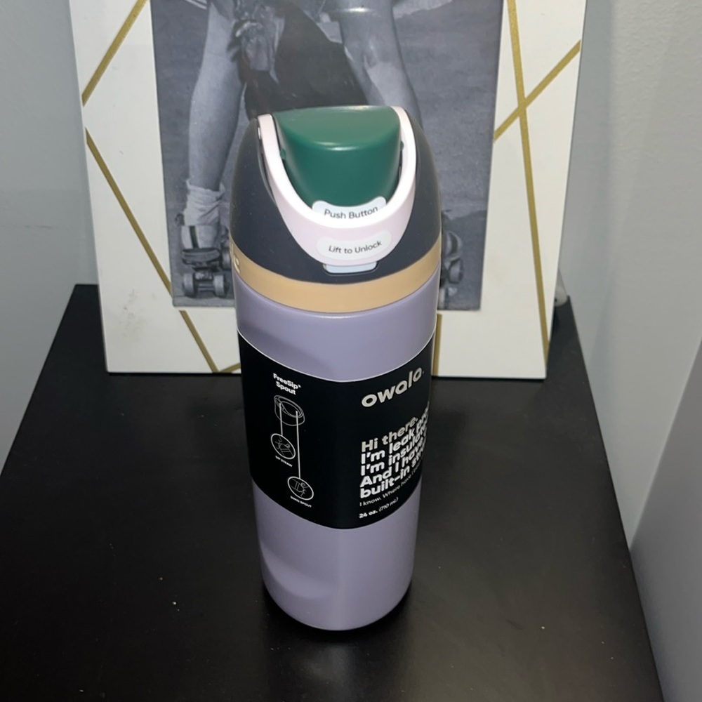 Owala FreeSip Stainless Steel Bottle 24oz Color: Due North